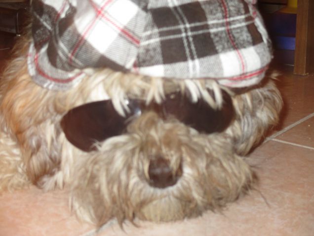 camuffata da  cugino ^_^