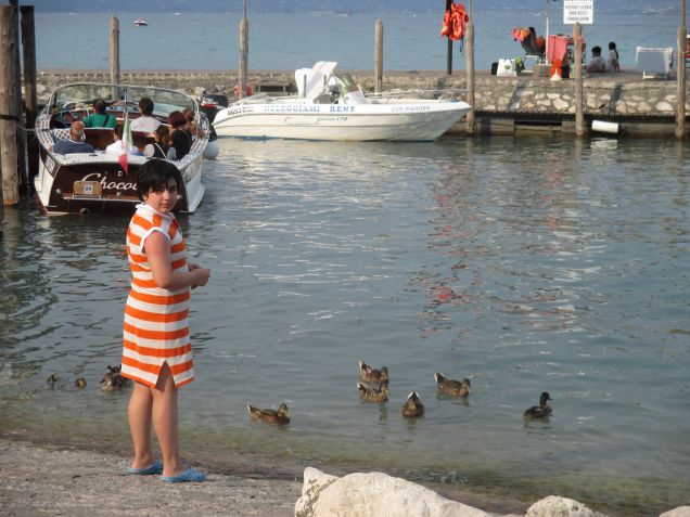 che fame questi  anatroccoli !