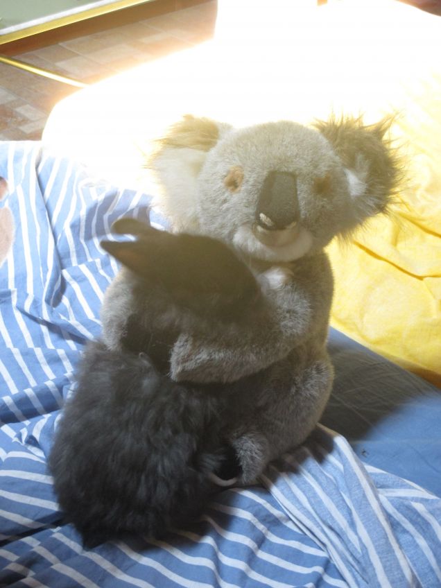 dobbiamo stare vicini vicini ^_^