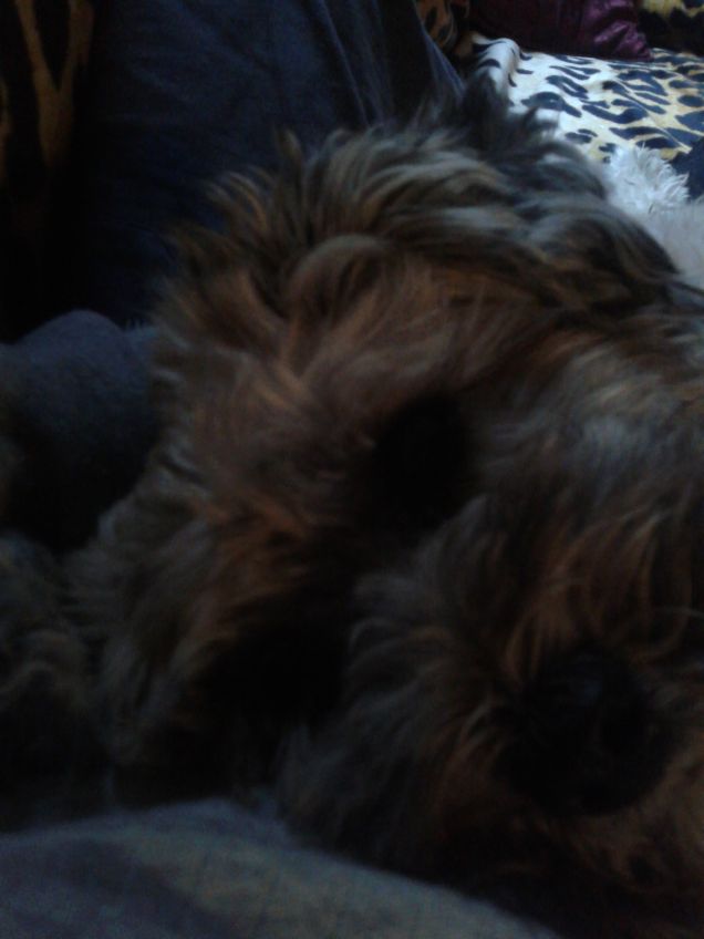 ssssttttt mamy e'presto....dormi....