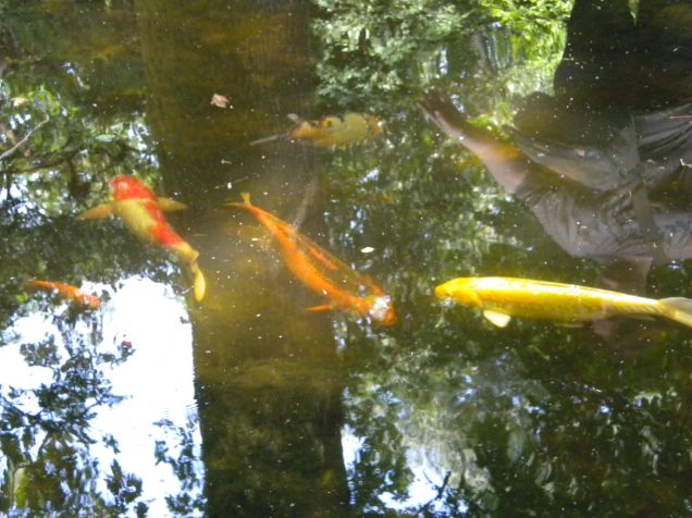 da vicino che colori!