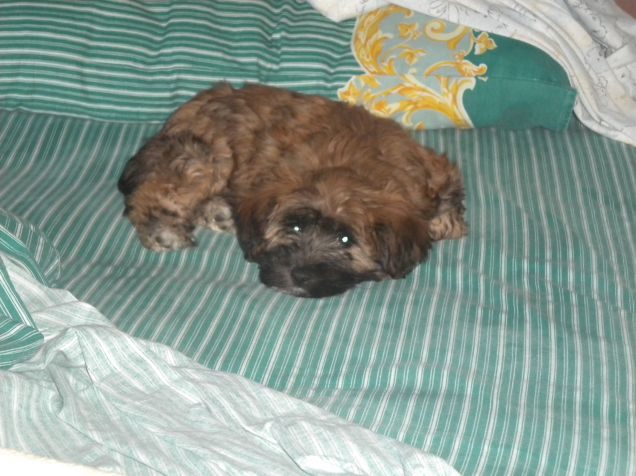 prima nanna sul letto di mamy ^_^