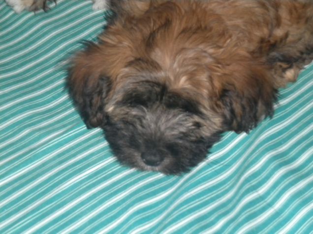 che letto comodo ^_^