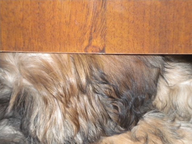 sotto il letto...non si capisce cosa sono...