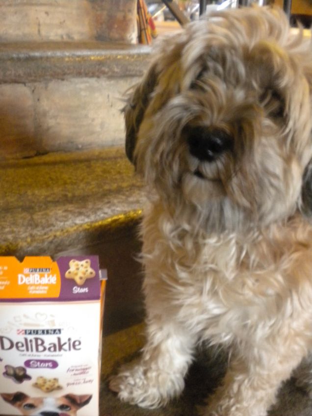 i biscotti...grazie mamy!