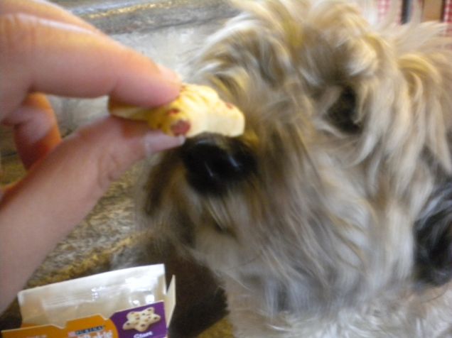 il biscotto piu'buono del mondo !