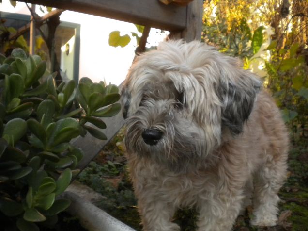 ma quella pianta e'nuova ,mamy?