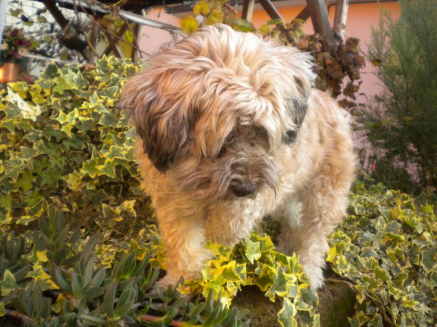 qui c'e'qualcosa...shhhh