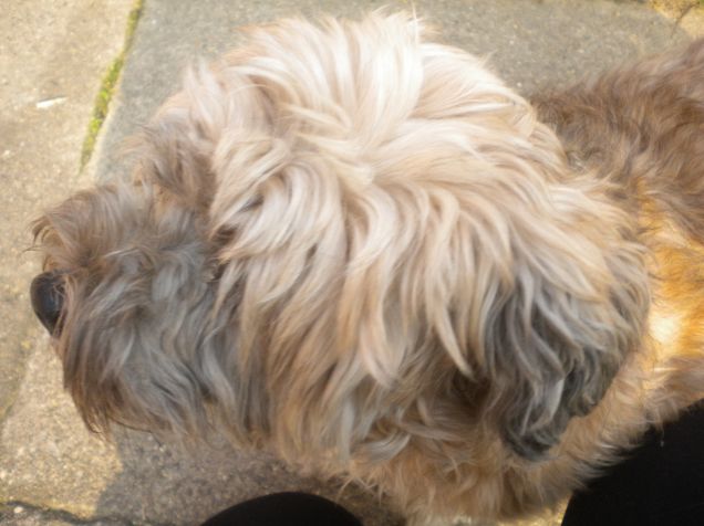 ti ascolto ,ma non ti guardo