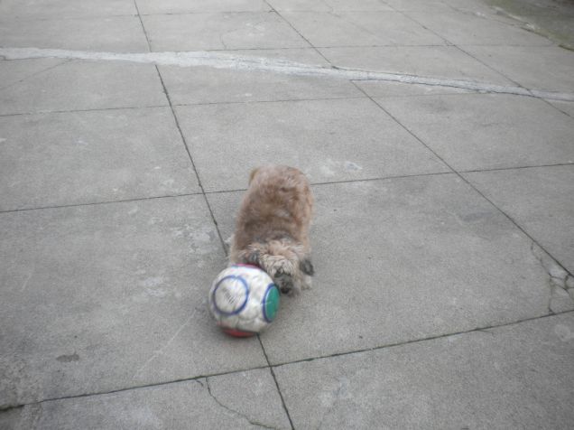 due tiri a pallone, mamy??