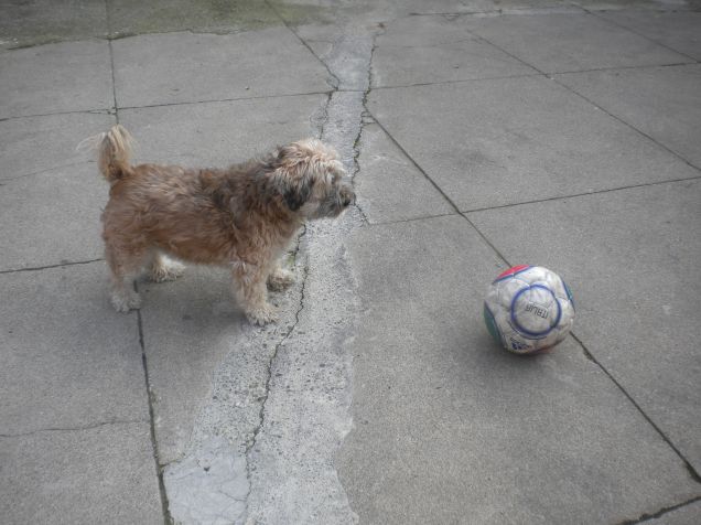 e' miaaaaaaaaaaaaaaaaaaaaaa