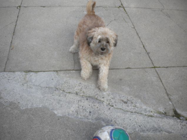 adesso faccio una parata!!!