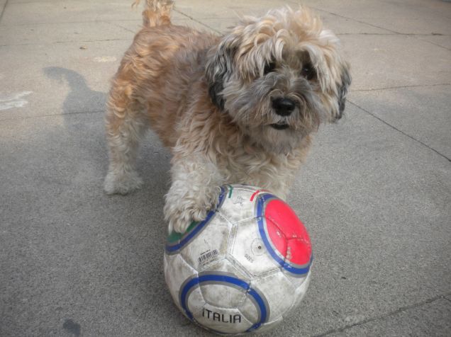 ok mamy ,ho vinto io!!!