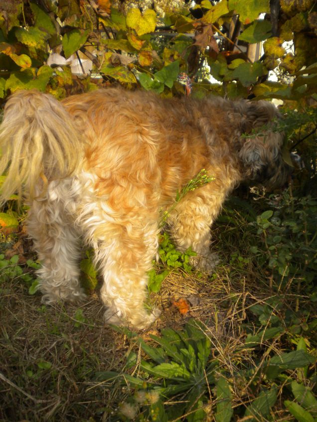 ops...scusate il lato B