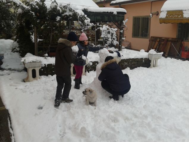 TUTTI A FARE IL PUPAZZO