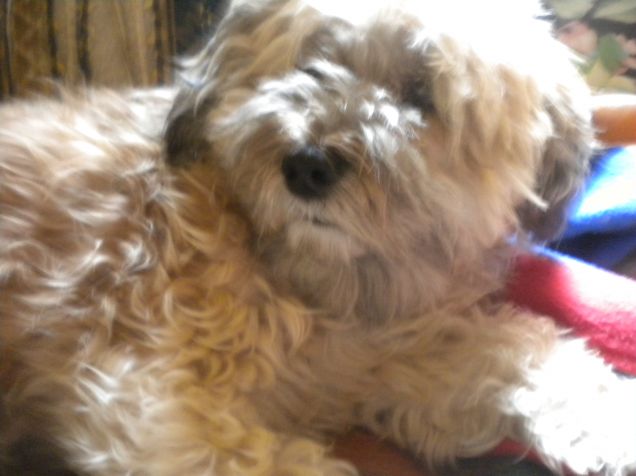 ora mi alzo...ancora 5 minuti...