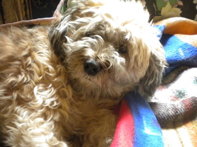 ho troppo sonno stamattina...