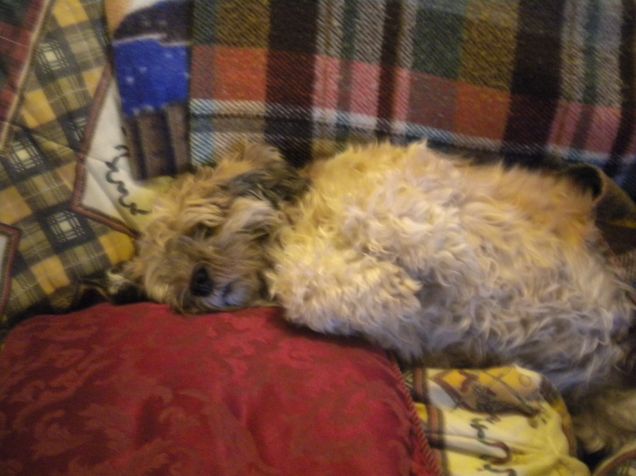 e pure pancia all'aria