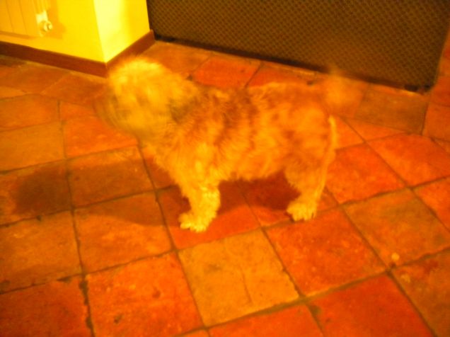 tutto un movimento..arriva il papy!!!