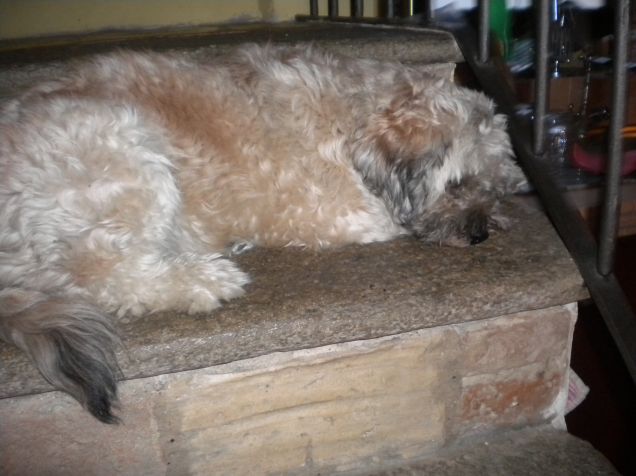 riposino sulle scale