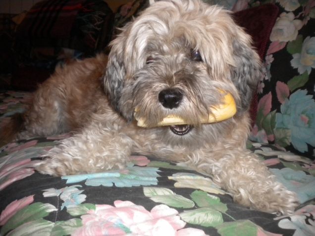 un panino tutto per me!!!