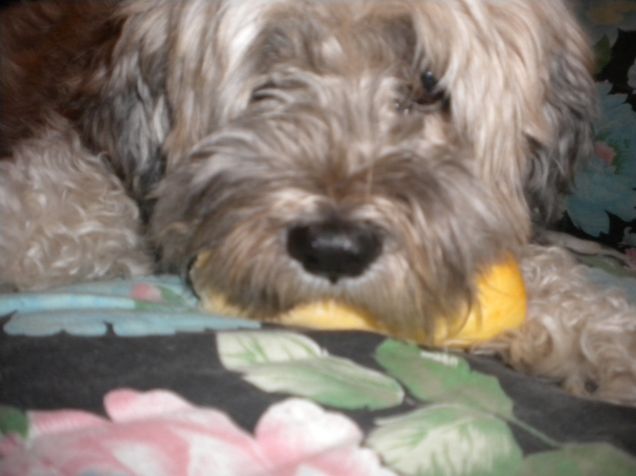 il panino non si tocca!