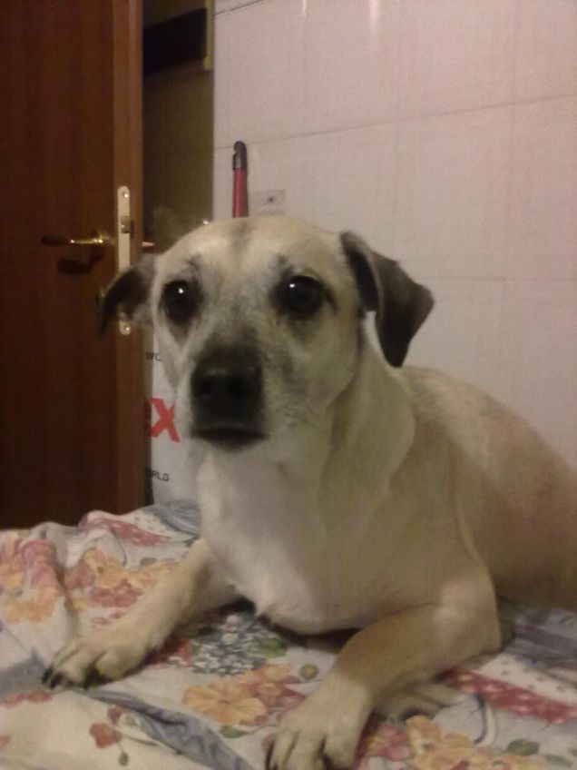 A TAVOLA SI STA COMPOSTI