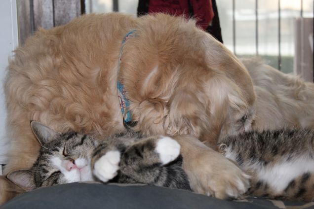 Amore è condivisione degli spazi