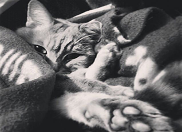 SOTTO LE MIE LENZUOLA