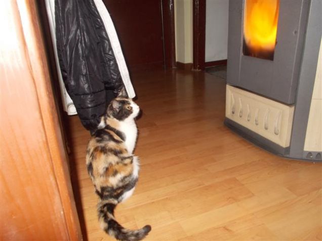 brrr  che freddo..........