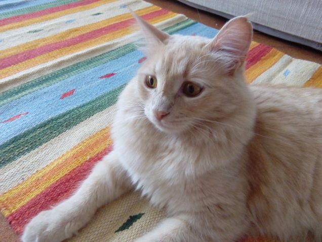 la sfinge del tappeto