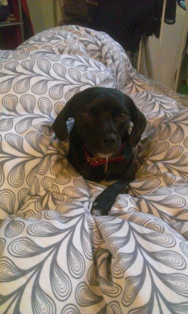 No ti prego....non voglio alzarmi!!