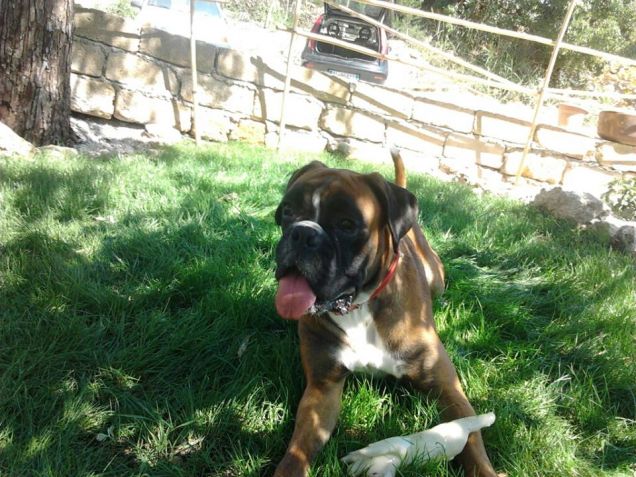 Il mio piccolo amore!!