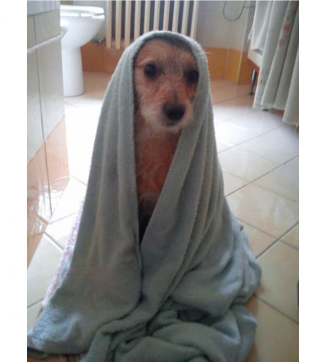 Mi devono fare santo!