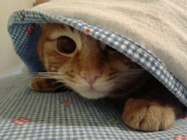 Passa al lato oscuro..