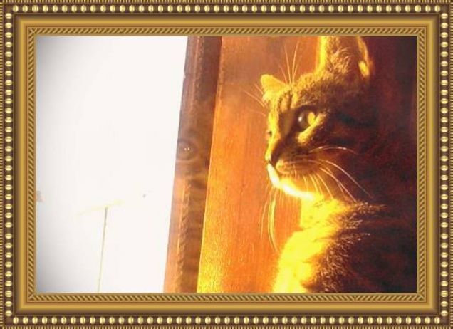 Per Natale..uno sguardo al futuro, che sia più roseo e felice!!!