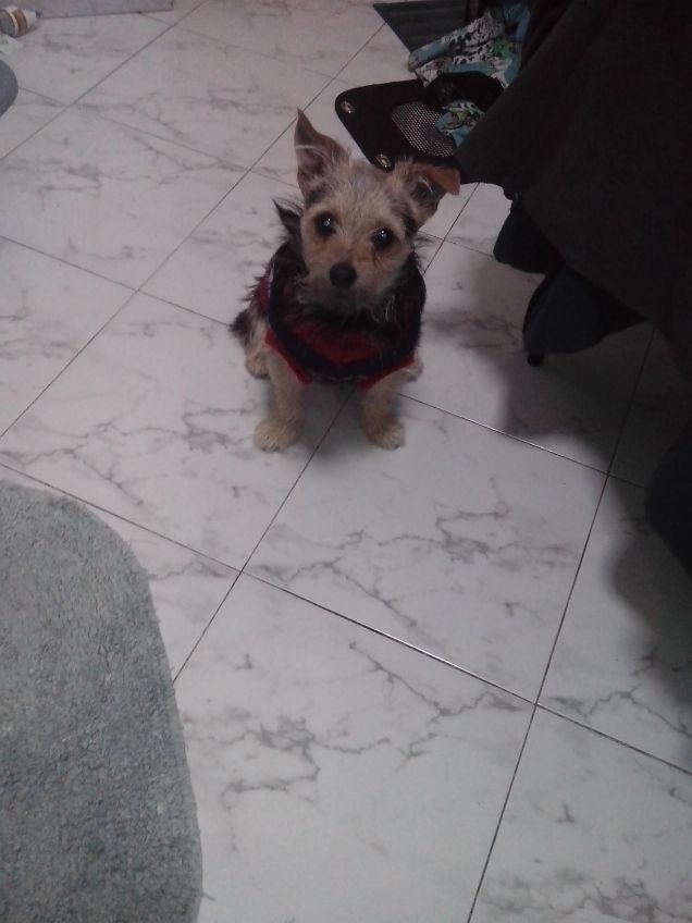 Ciao a tutti :) ma quanto è tenerooo 