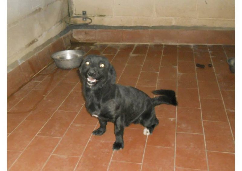 Samir cerca una nuova vita