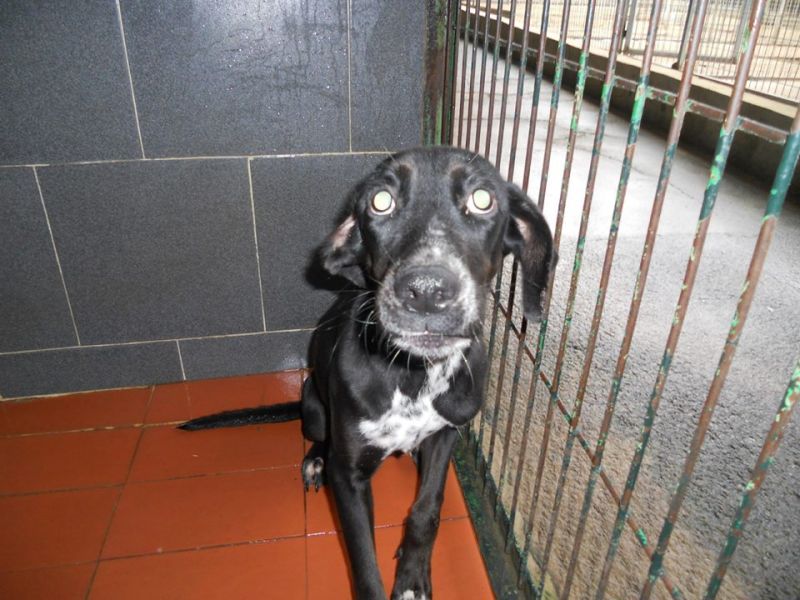 LULA DI UN INFINITA DOLCEZZA ASPETTA SOLO LA MORTE