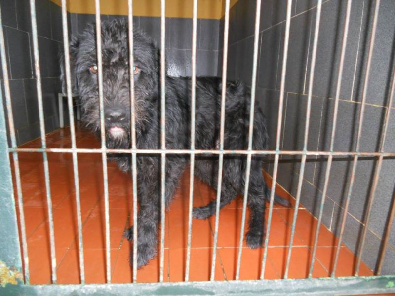 floyd per lui nessuna richiesta. morirà!!!