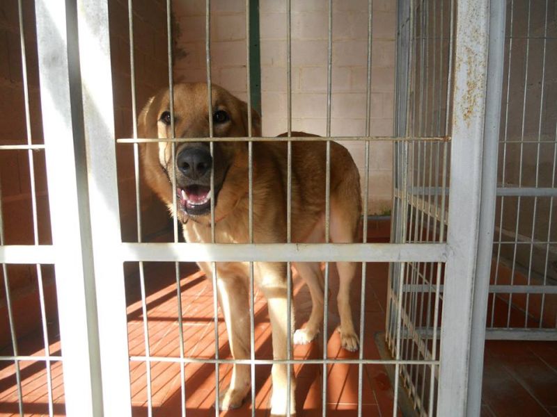 RICKY A RISCHIO SOPPRESSIONE IN PERRERA 