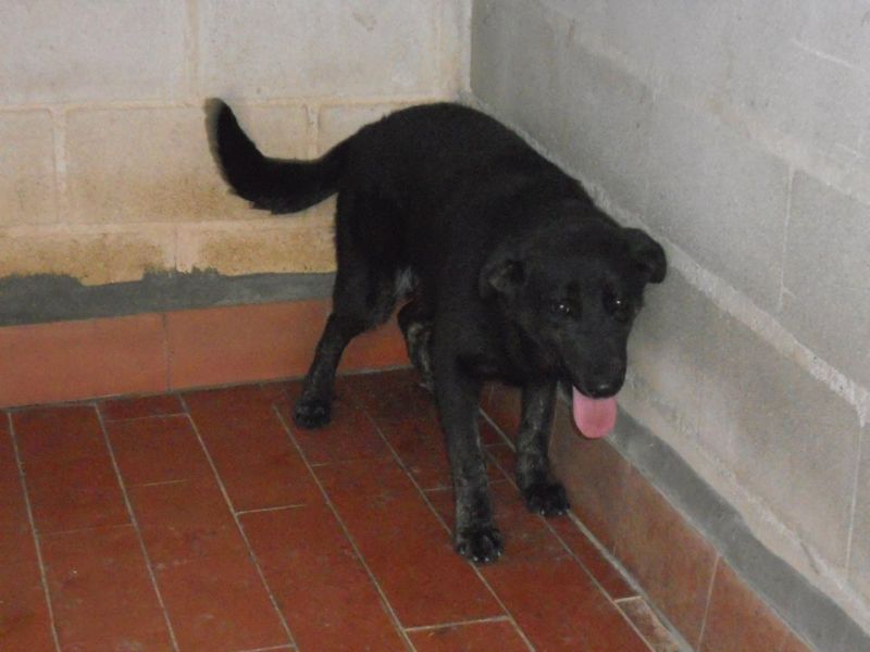 amanda non ha mai conosciuto il calore di una vera famiglia