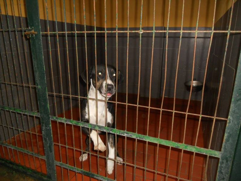 LESTER MORIRA' SENZA AVER CONOSCIUTO L'AMORE