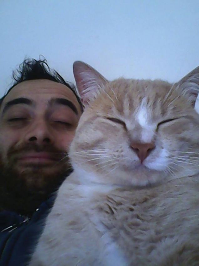 trova le differenze!