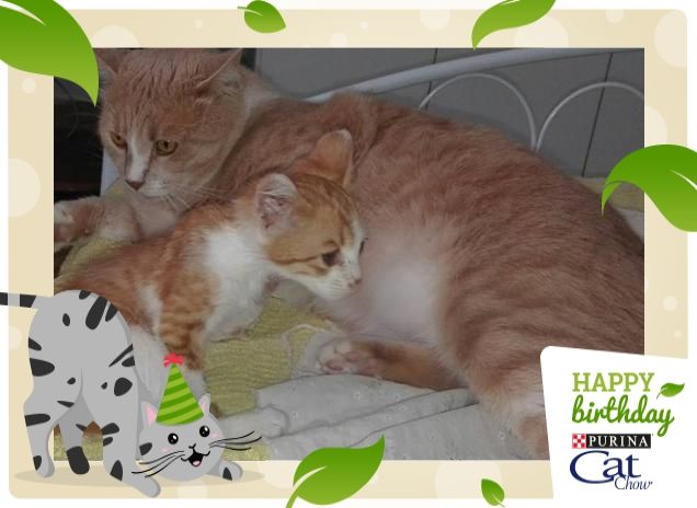 non sapevo di essere padre