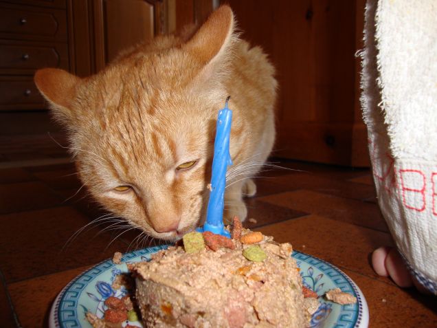 il compleanno di Birba