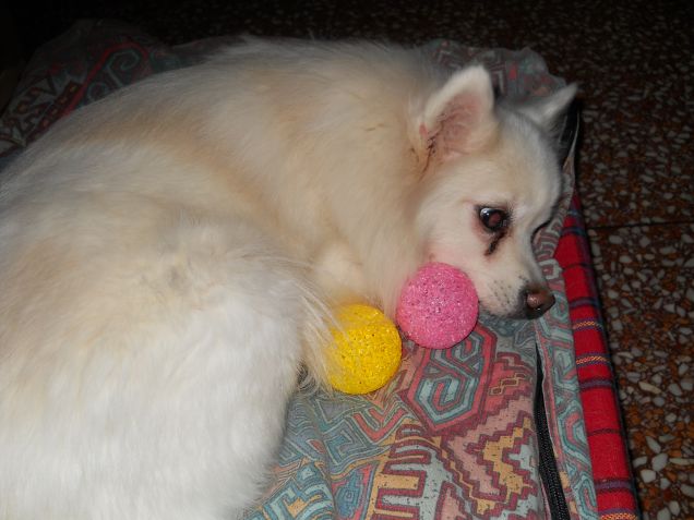 Tina e la pallina!!!