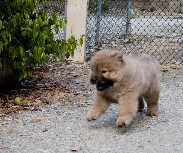 Prima uscita in giardino