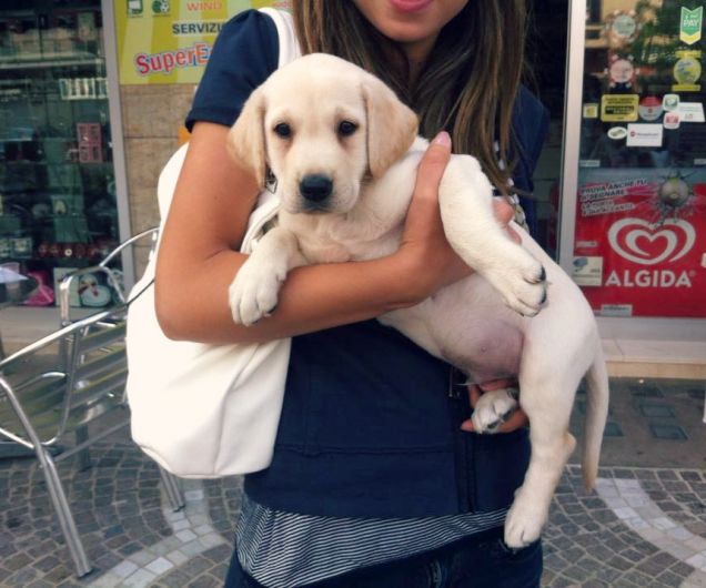 nuovo arrivato a casa rizzi!