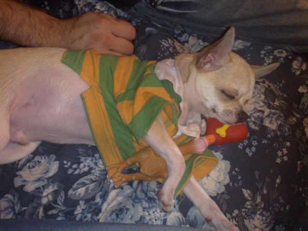 Il mio Cupido a 5 mesi *.*